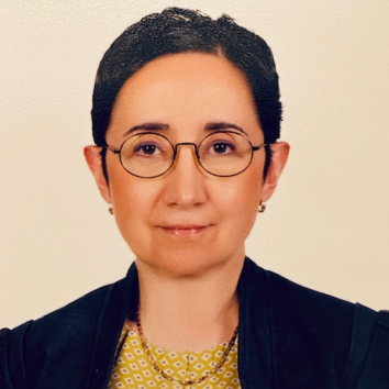 Portrait of Prof. Ayşe Korkmaz Toygar