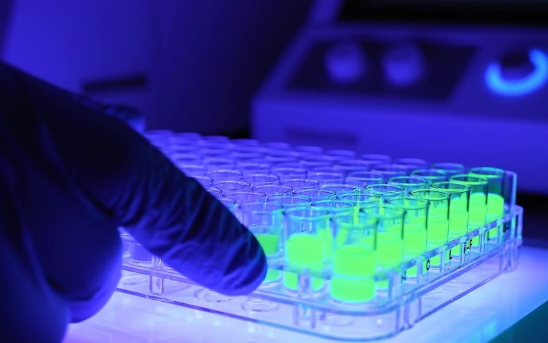 Assay plate glowing green under UV light